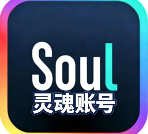 Soul灵魂白号账号（新号） 魂白号都经过精心准备 登录后即 引流效果好 拍一得二(内含两组)