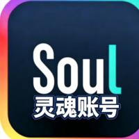 Soul灵魂白号账号（新号） 魂白号都经过精心准备 登录后即 引流效果好 拍一得二(内含两组)
